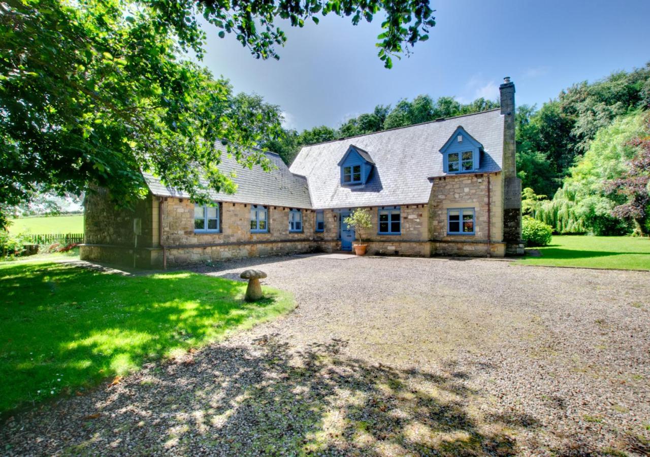 Blue Poppy House - Bed and Breakfast Newlands