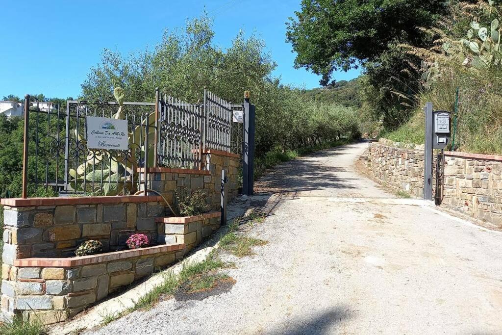 Collina da AMaRe Pioppi Cilento - B&B Pioppi