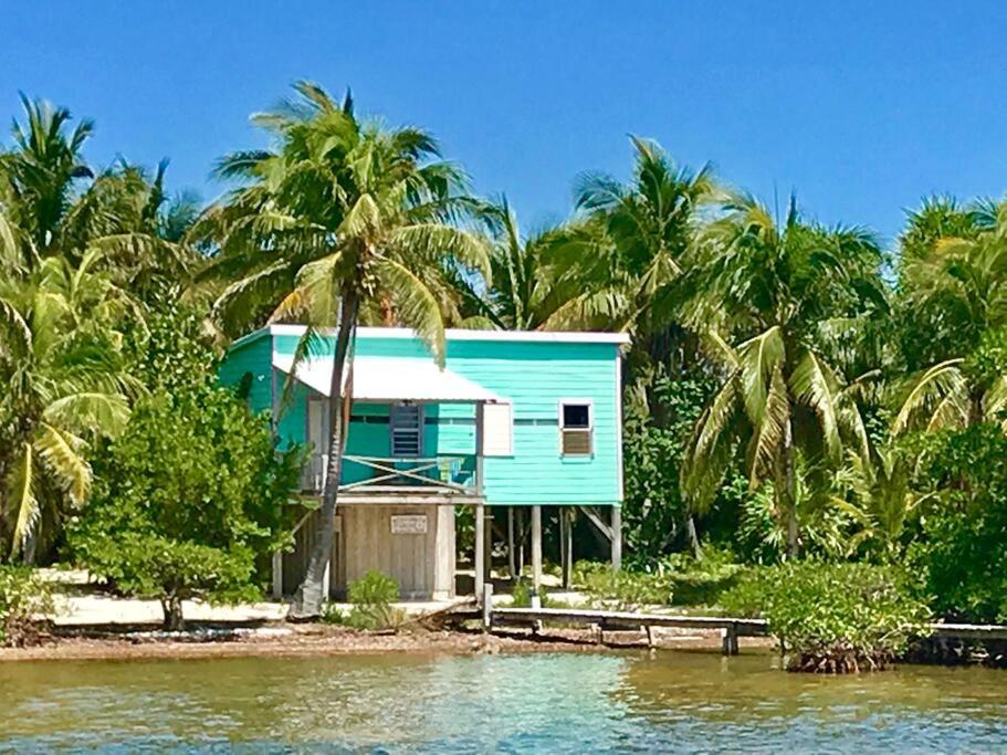 Coconut Grove oceanfront cabin - Bed and Breakfast Caye Caulker