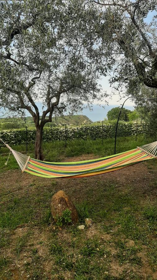 VILLA IN COLLINA VISTA MARE - B&B