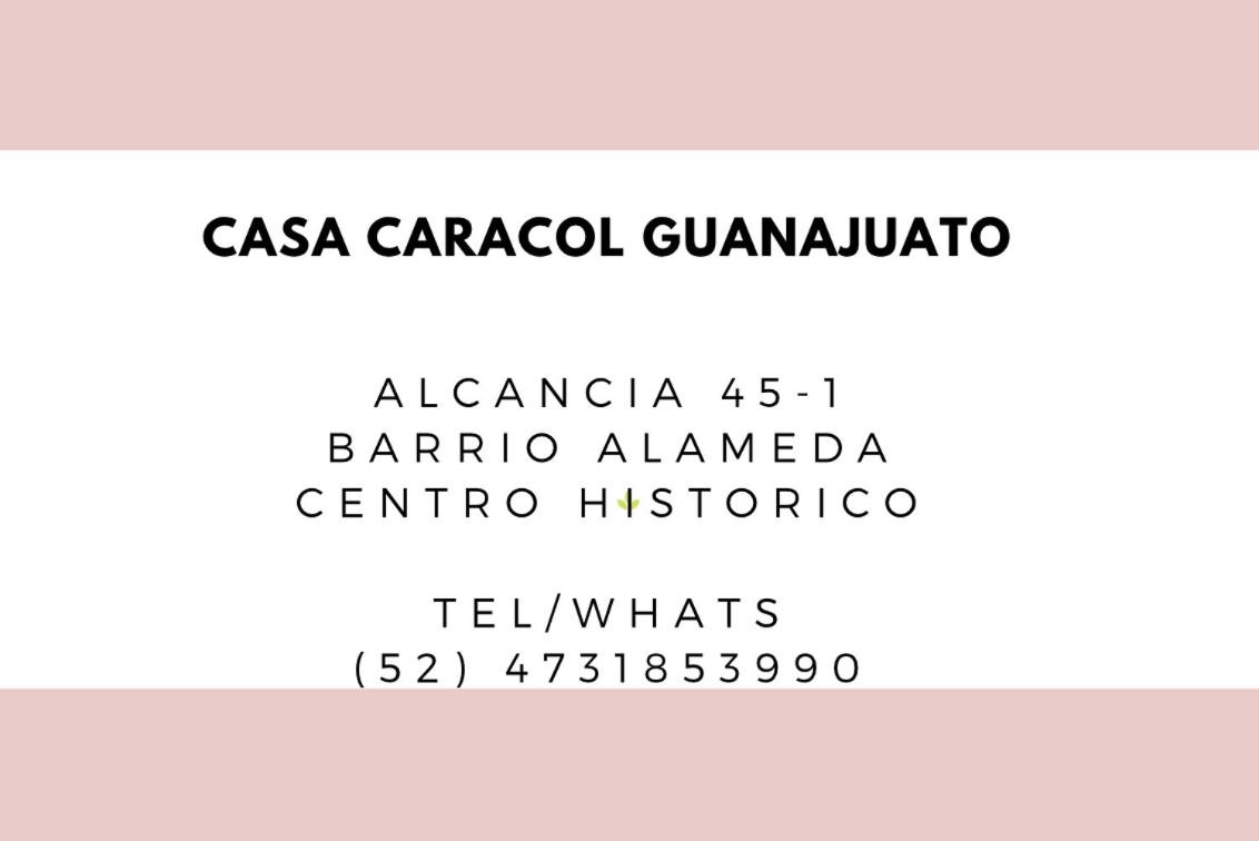 B&B Guanajuato City - Casa Caracol Guanajuato - Bed and Breakfast Guanajuato City