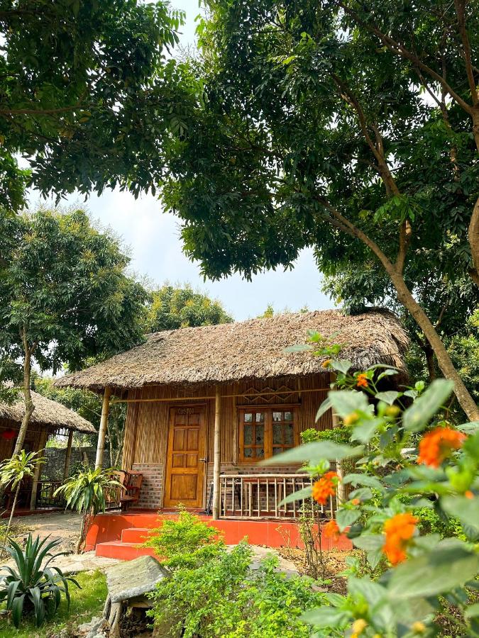 B&B Ninh Bình - Ninh Binh Bamboo Farmstay - Bed and Breakfast Ninh Bình