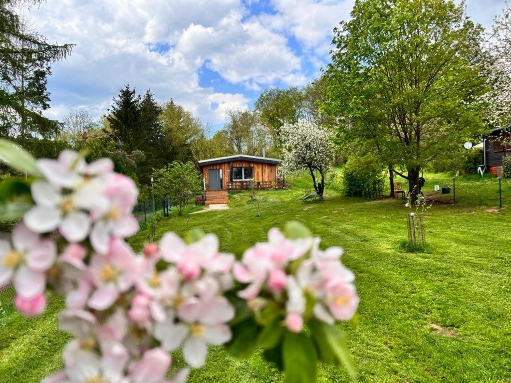 Ferienhaus II Zittertal Neustadt Harz mit großem Garten, Kamin und Fußbodenheizung - B&B Osterode