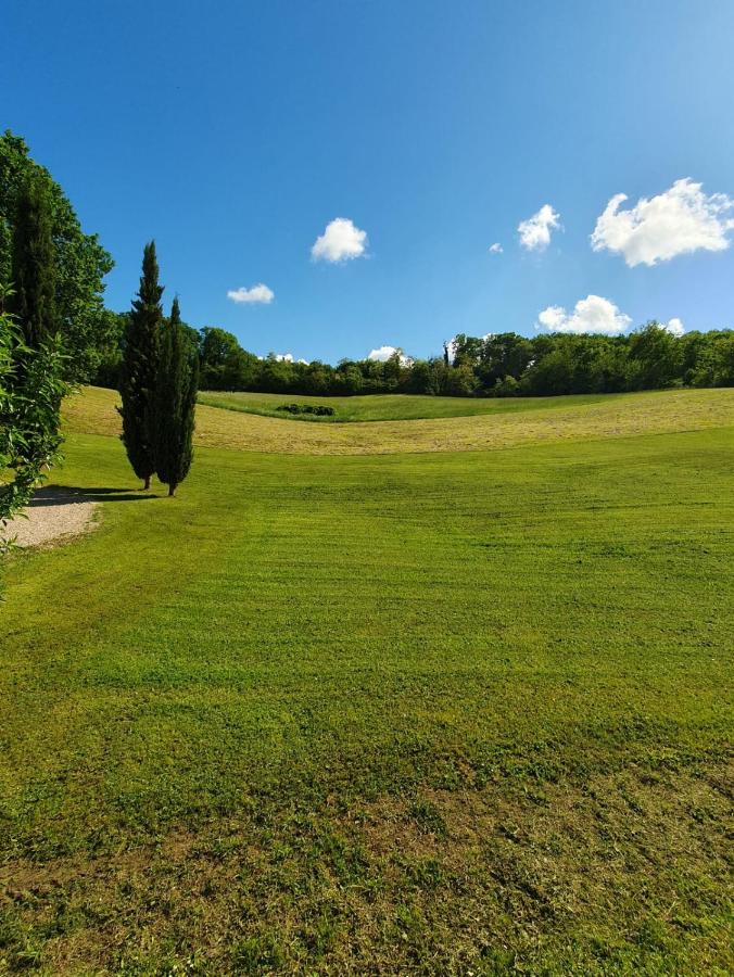 Appartement cosy sur les Coteaux - à 10 min de Saint-Emilion - Chambres d’hôtes