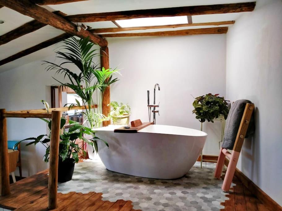 Romantic eco retreat - B&B Adeje