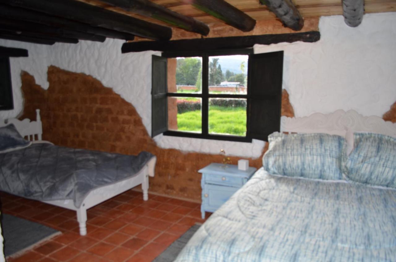 Camera Tripla Standard