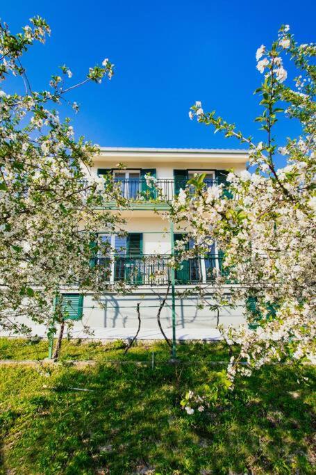 House Duje - B&B Plano