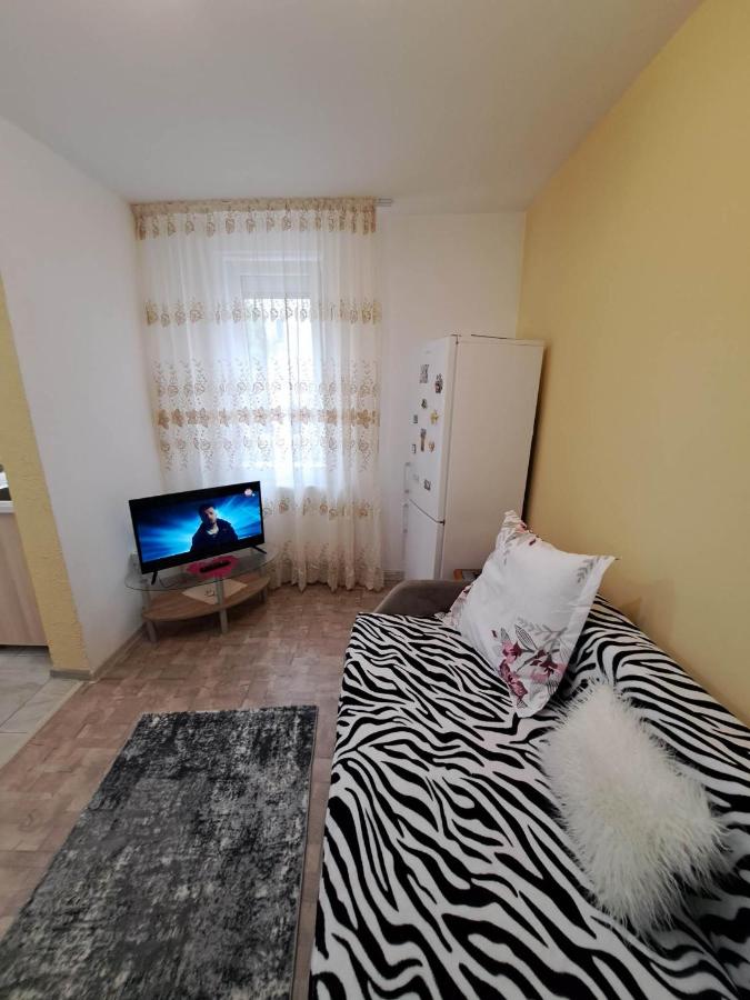 Dovali apartment - Bed and Breakfast Râmnicu Vâlcea