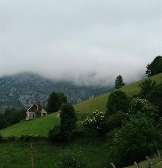 La coume du cerf - B&B Campan