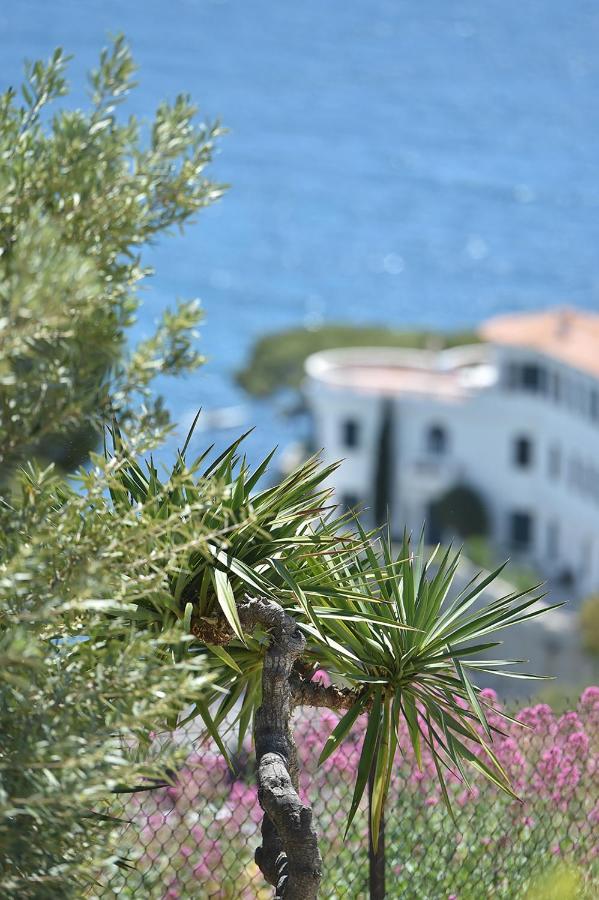 LE SON DES VAGUES VUE MER - Chambres d’hôtes Cassis