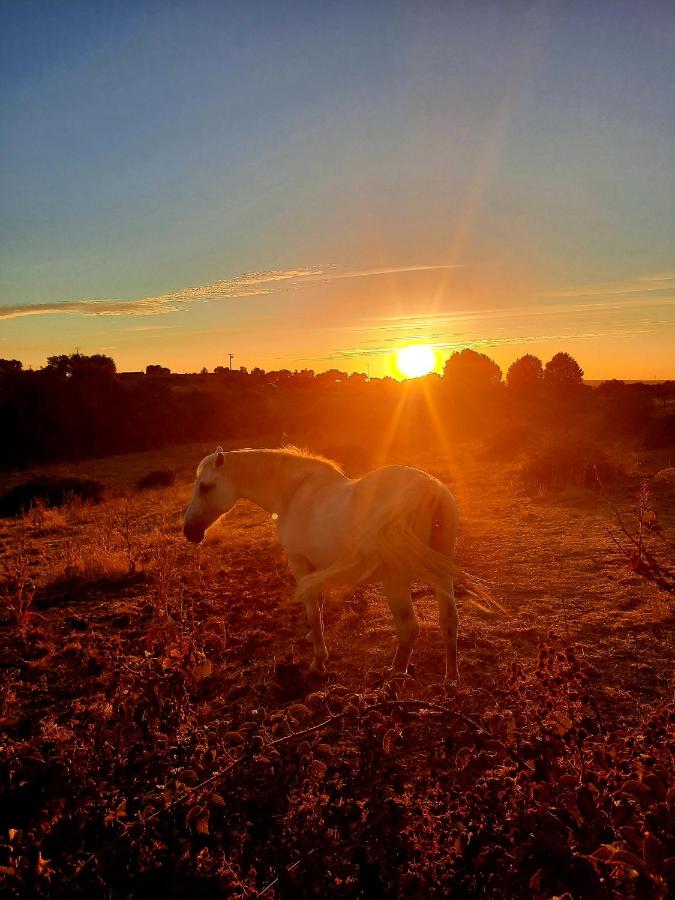 Casa con 2 Camere da Letto