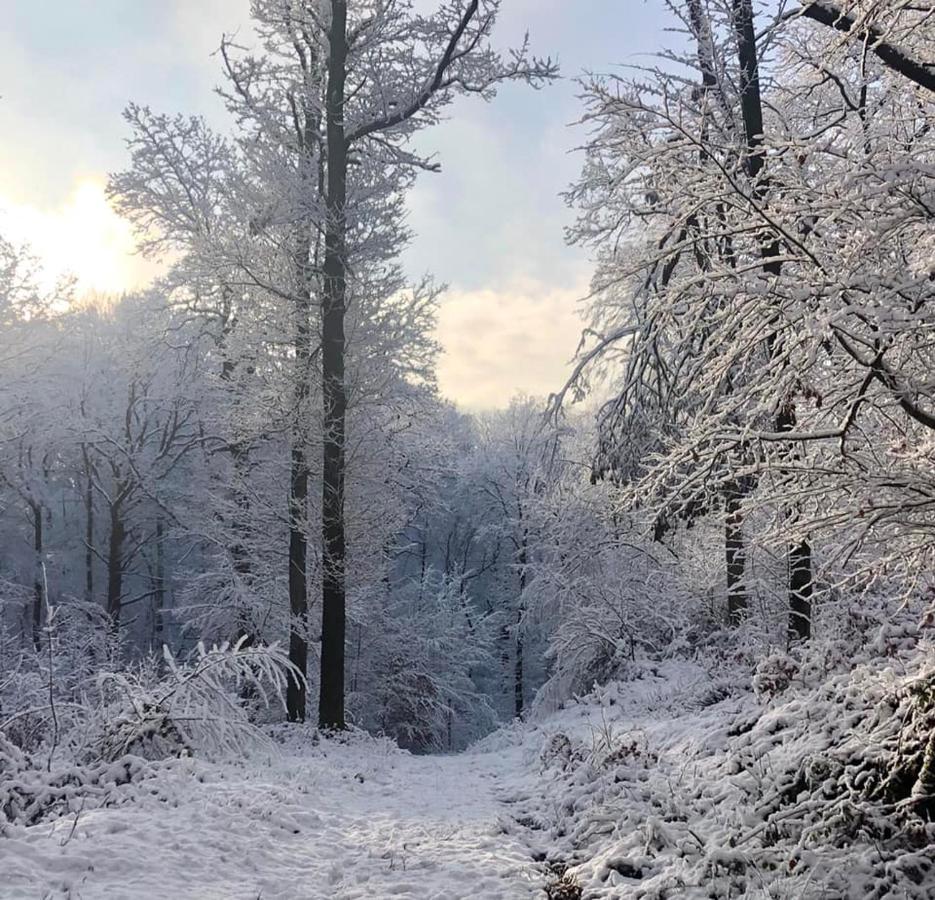 Casa de 3 dormitorios