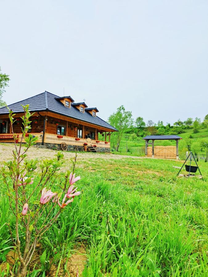 Casuta din Cotroape - Maramureș - Bed and Breakfast