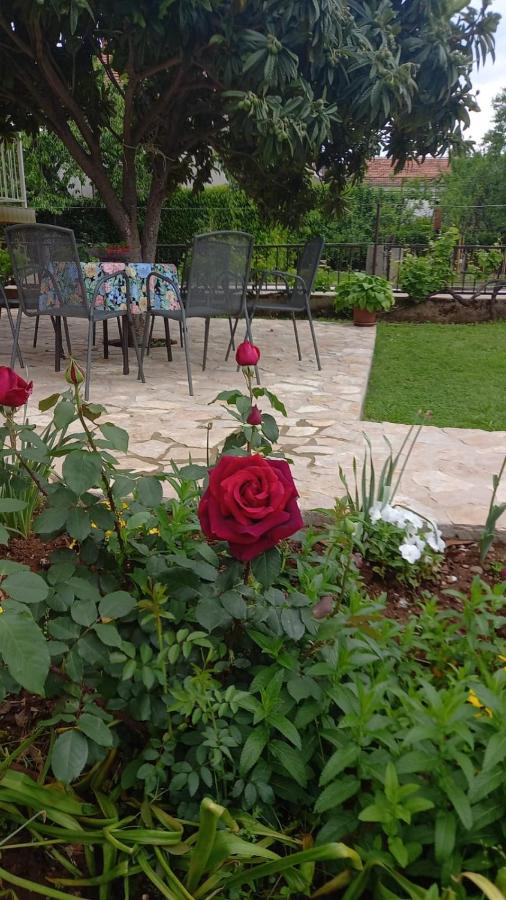 Villa Vinka - B&B