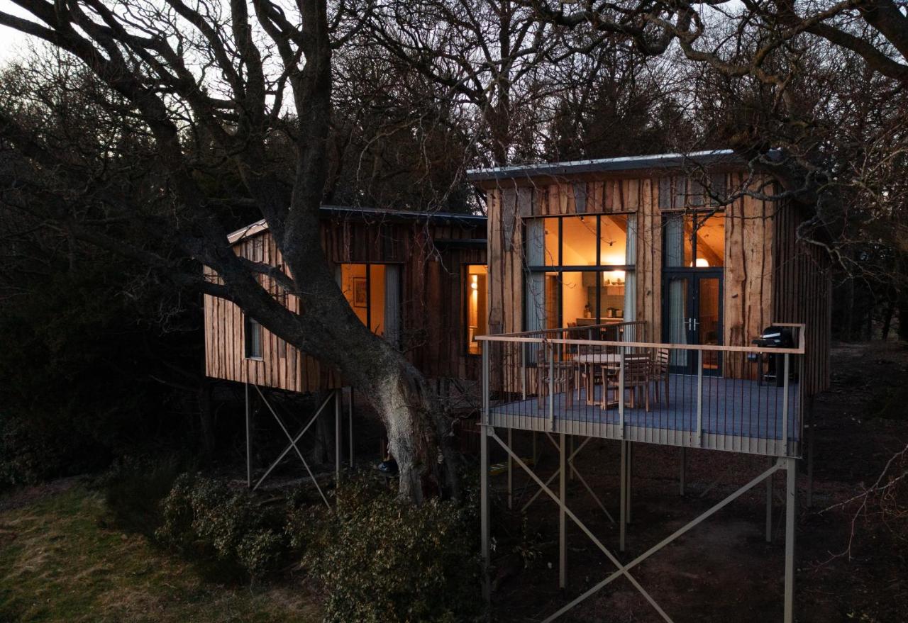 Chiffchaff Treehouse - B&B