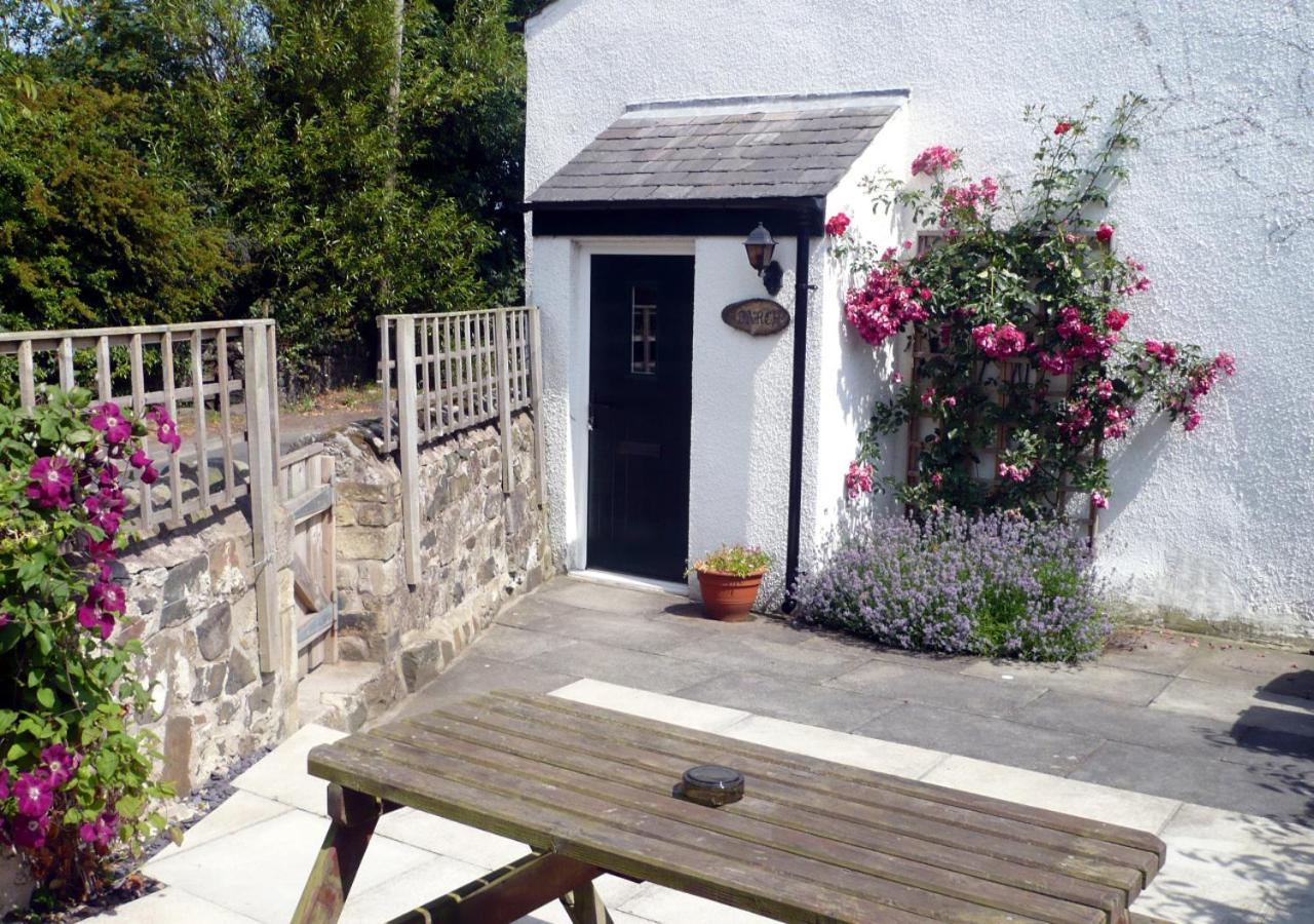 B&B Craster - Larch Cottage - Bed and Breakfast Craster