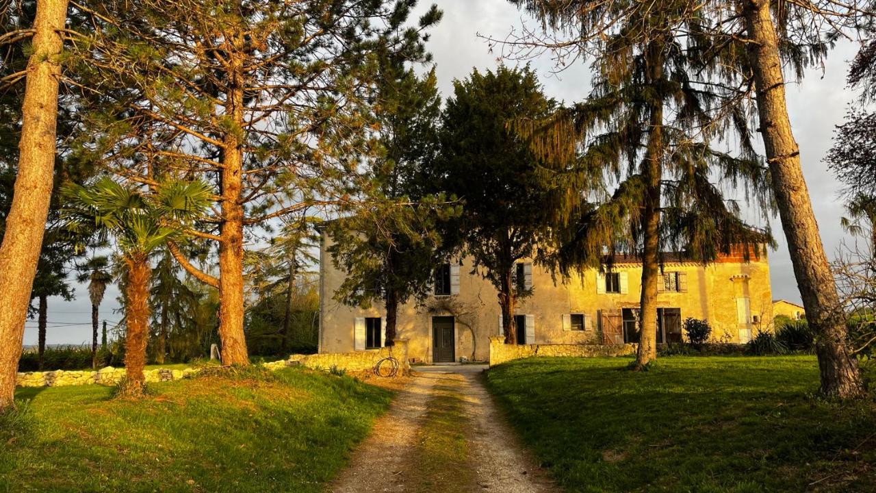 BEARS N BREAKFAST - B&B Condom