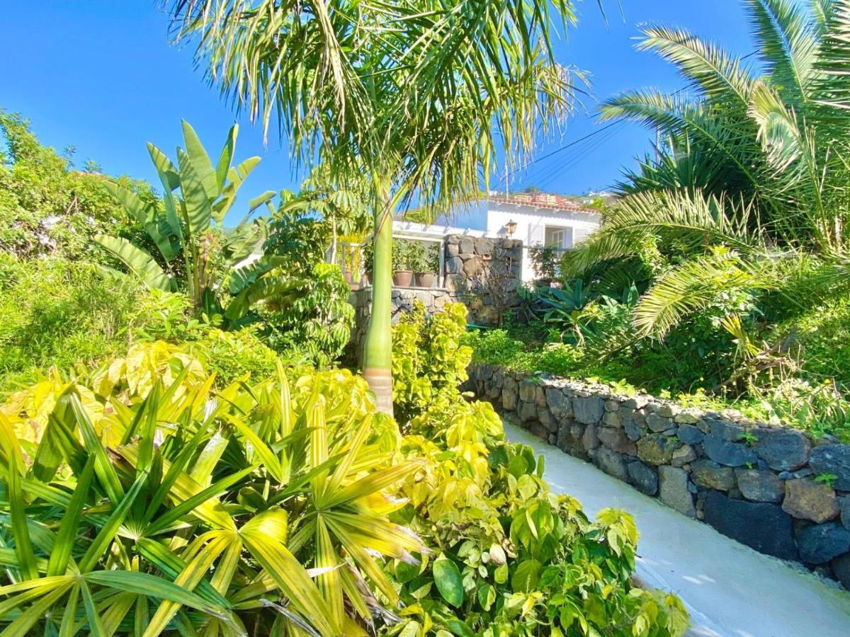 Casa Plumeria, a Private paradise with Pool. - B&B