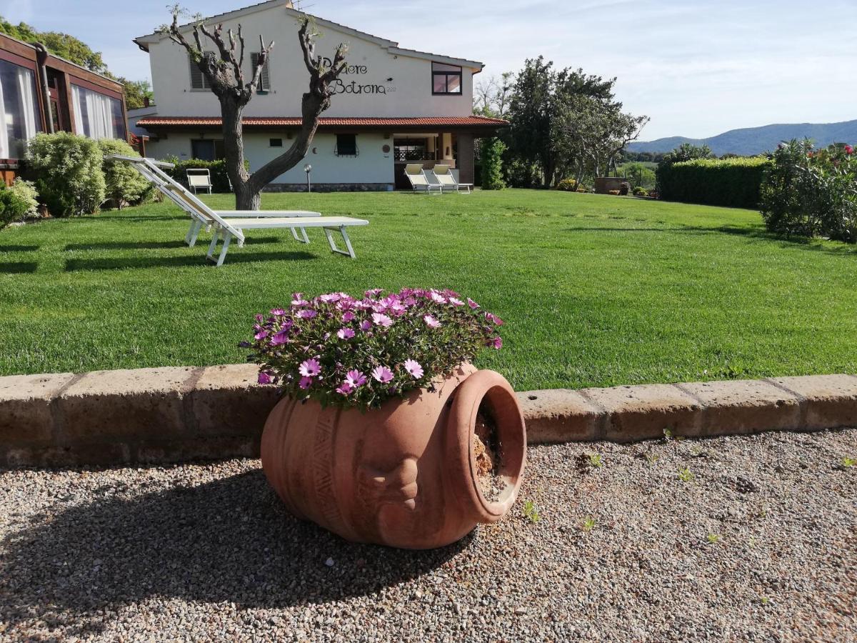 Agriturismo Diaccia Botrona - B&B Castiglione della Pescaia