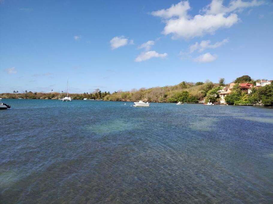 Villa Pomme cannelle - B&B Le Diamant