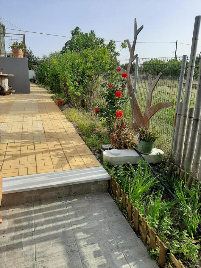 Helen's cozy studio (close to the airport) - Ferienwohnung Koropí