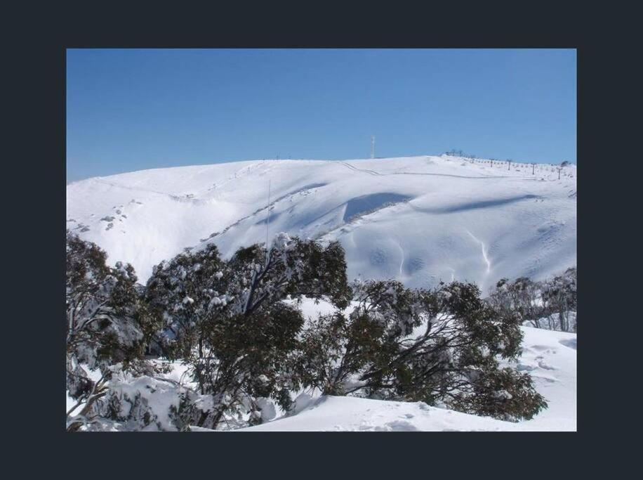 B&B Mount Tomah - IceBreaker - Mount Hotham - Bed and Breakfast Mount Tomah