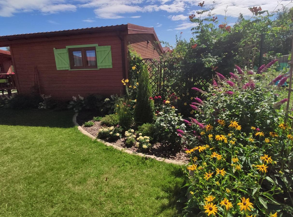 Oaza Dąbek - B&B Dąbki