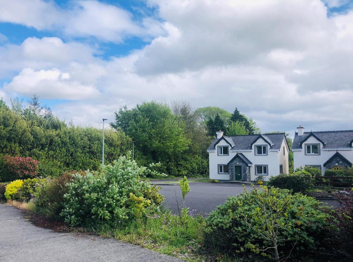 Modern bright detached home just a short stroll from town - Bed and Breakfast