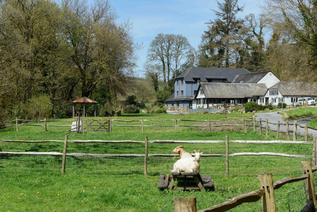 Badgers Holt House - B&B Plymouth