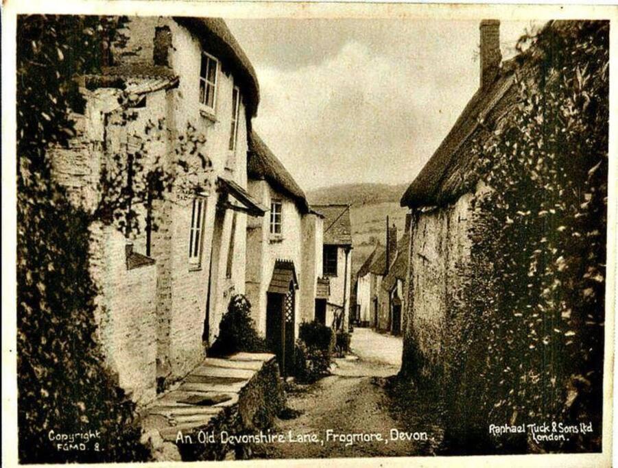 Court Cottage - cosy traditional cottage near lovely beaches - B&B
