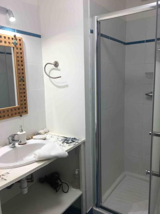 L’Eucalyptus Blanc, claire, paisible,fonctionnelle - Ferienwohnung Plouhinec