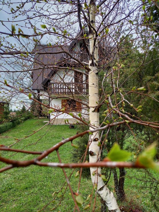 Montecasa - Bed and Breakfast