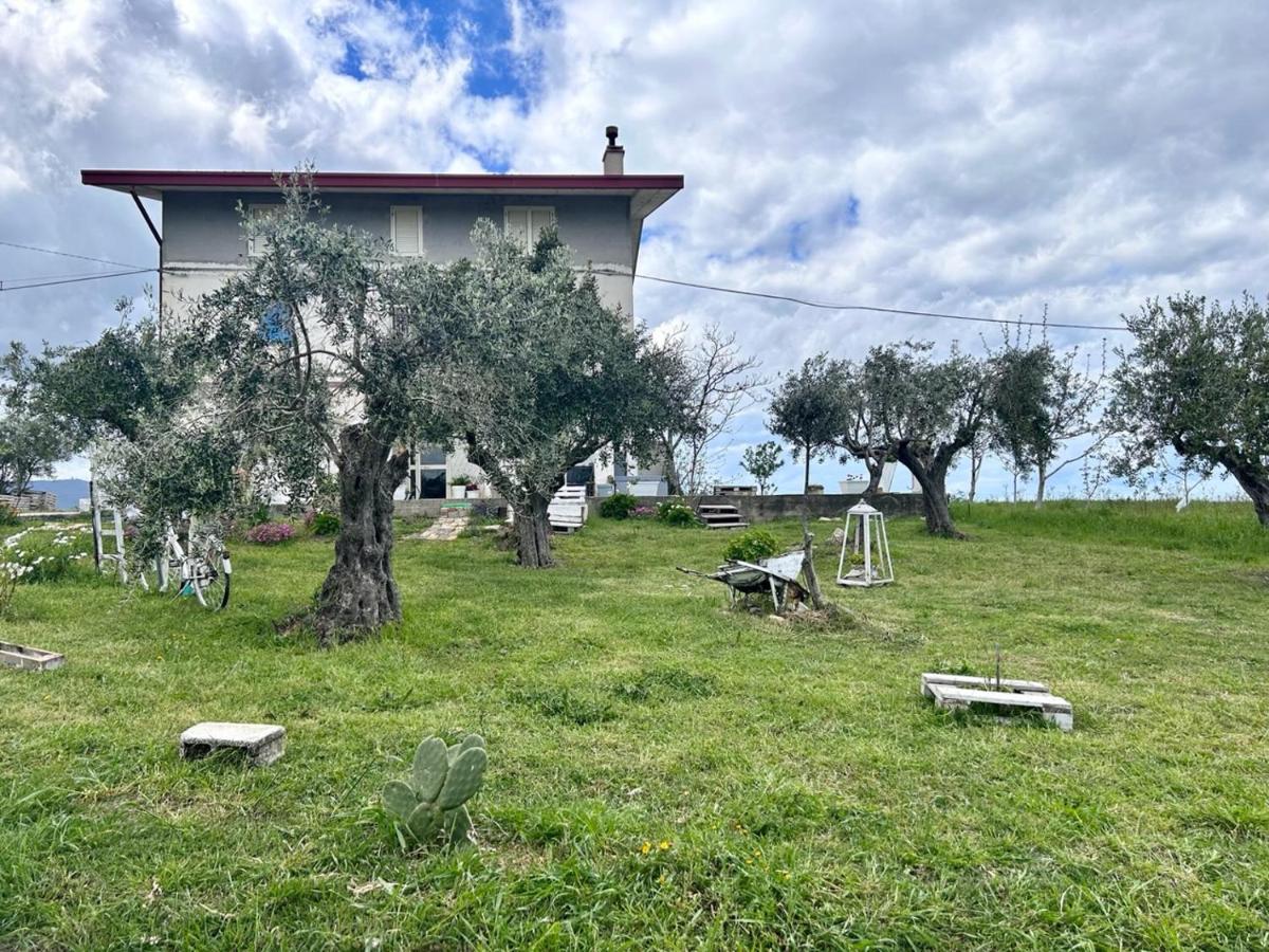 La Collina in una Stanza - Atessa - B&B Atessa