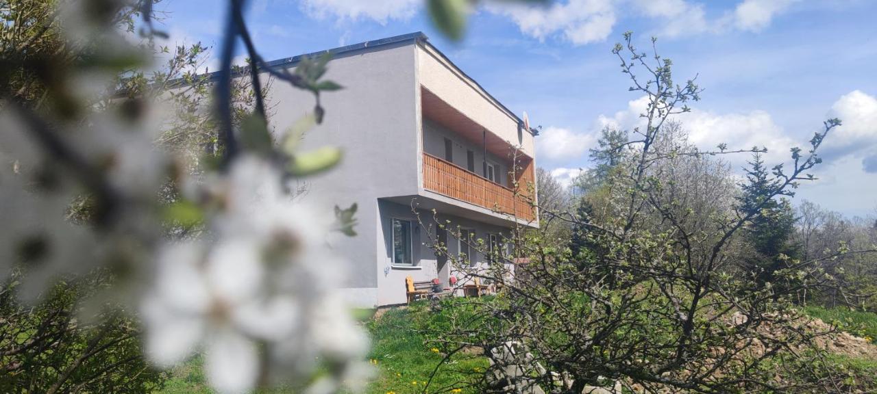 B&B Banská Štiavnica - Ružová Vila - Bed and Breakfast Banská Štiavnica