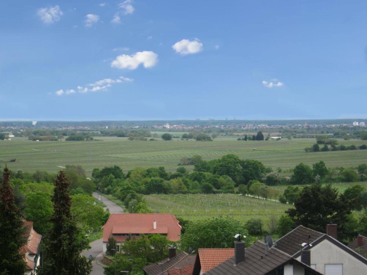 Ferienwohnung Buenavista - B&B Neustadt an der Weinstraße