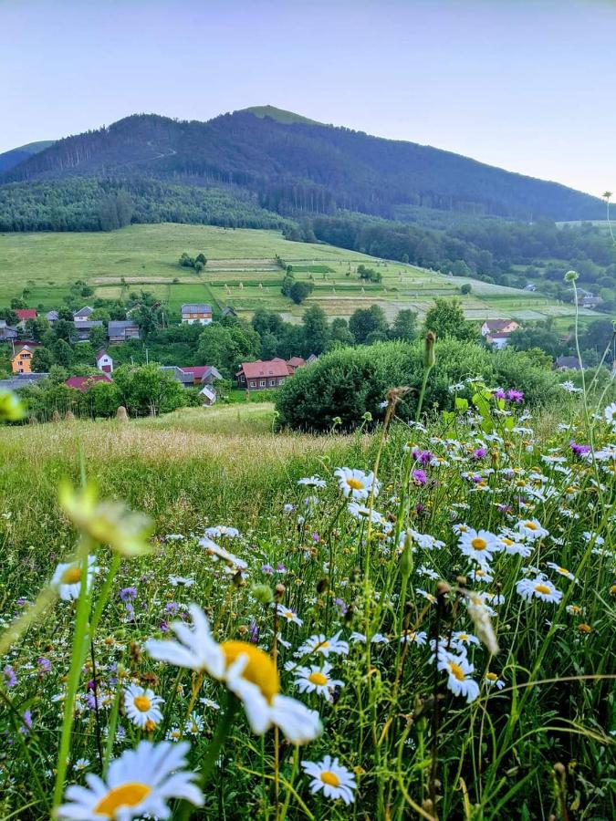 Зачаровані Карпати, Воловець - B&B