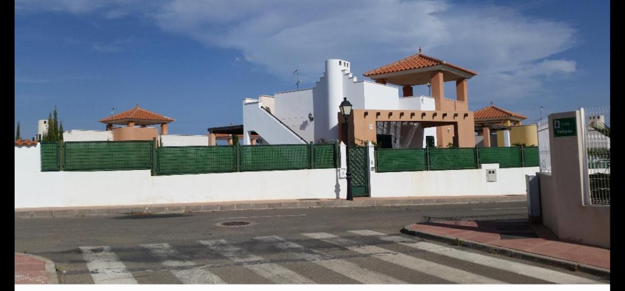Sunny Villa Oasis in La Alfoquia - B&B