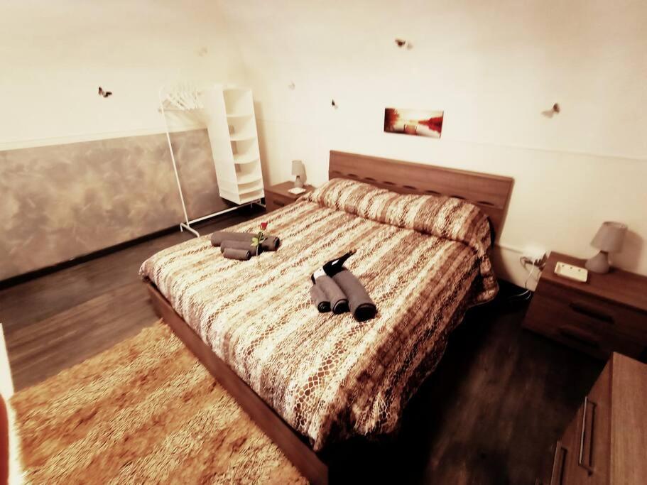 Appartement 1 Chambre