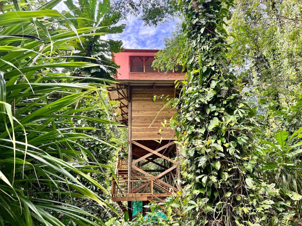 Deluxe Bungalow