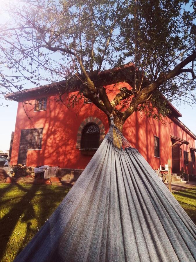 Alloggio Turistico Dakota - B&B Manziana