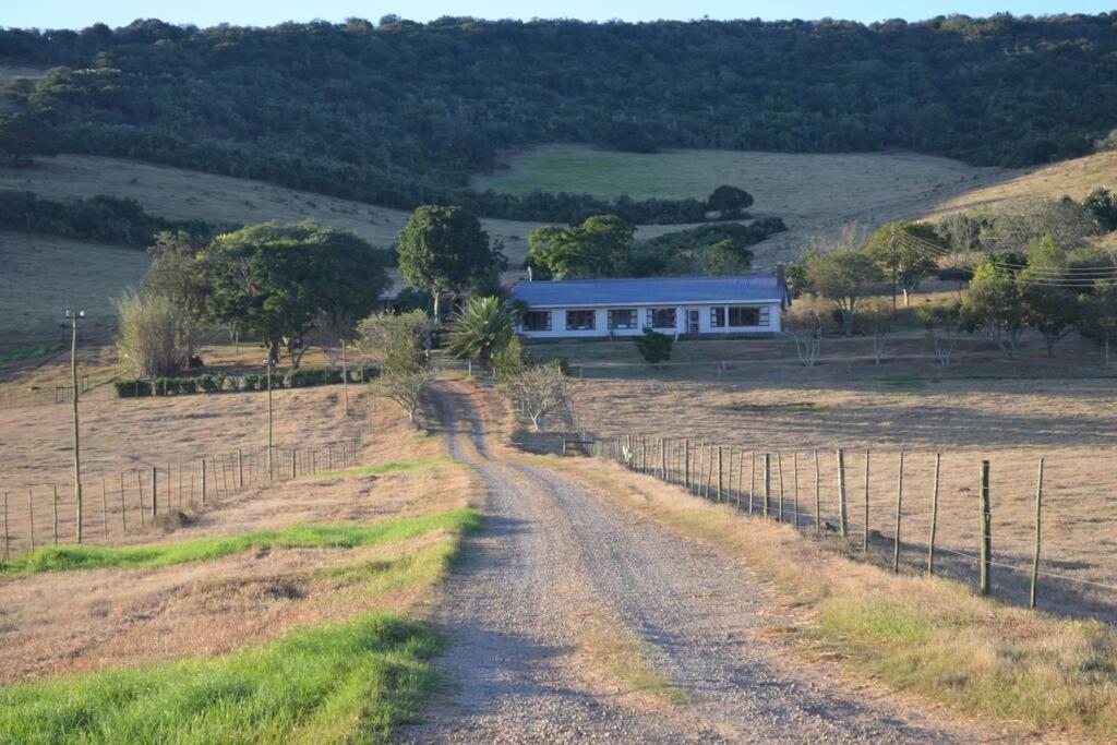 B&B Buyskloof - De Buysvlei Guesthouse near Addo Elephant Park - Bed and Breakfast Buyskloof