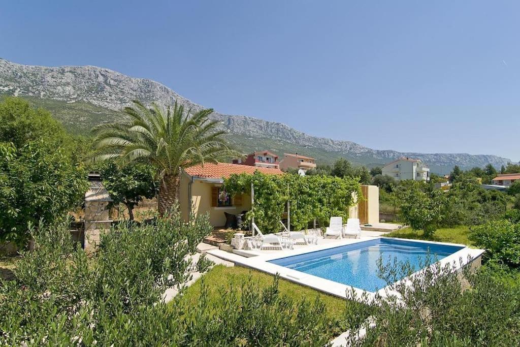 Eden Holiday House with private Pool and Vineyard - B&B