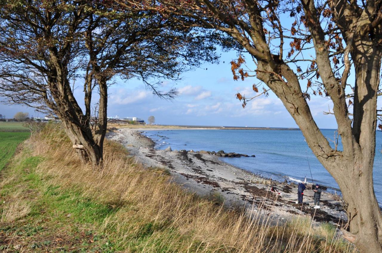 Marienleuchte StrandGUT - B&B Westfehmarn