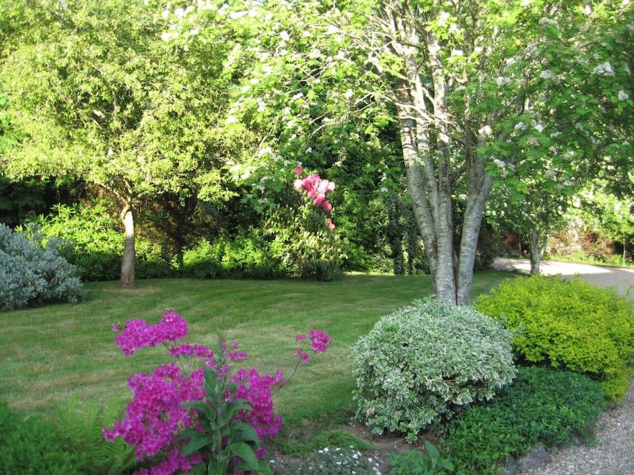 Self catering apartment at Beechwalk House. - B&B