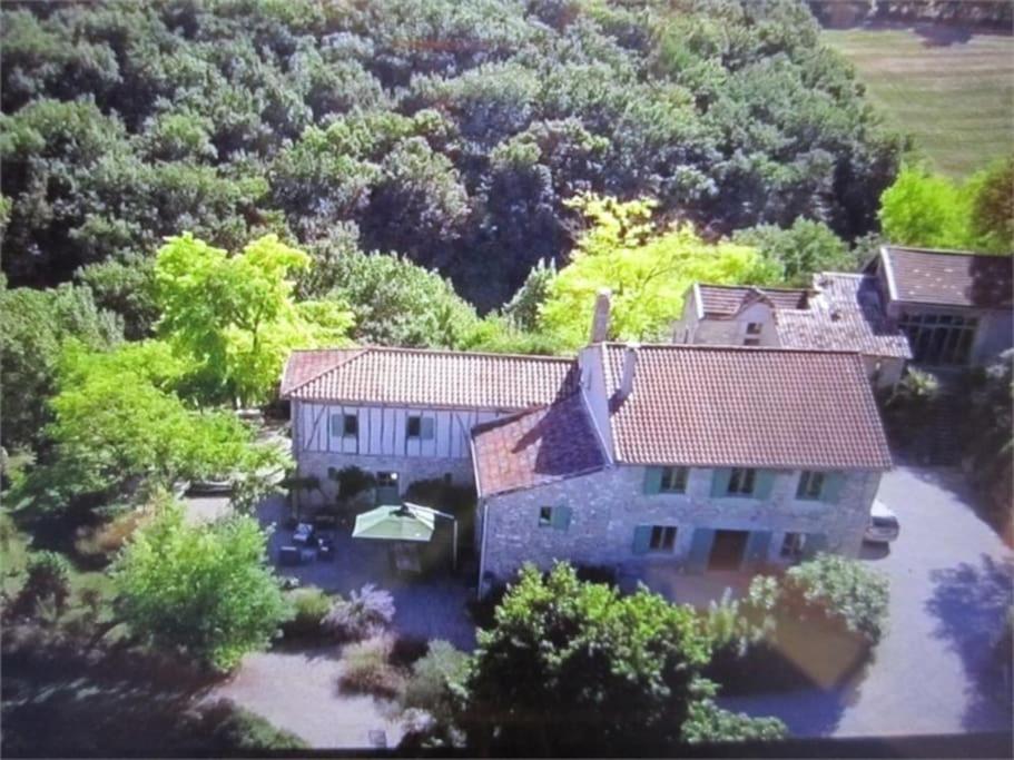 Villa - Mas de campagne prestigieux- Authentic french countryhouse in dream countryside - Ferienwohnung