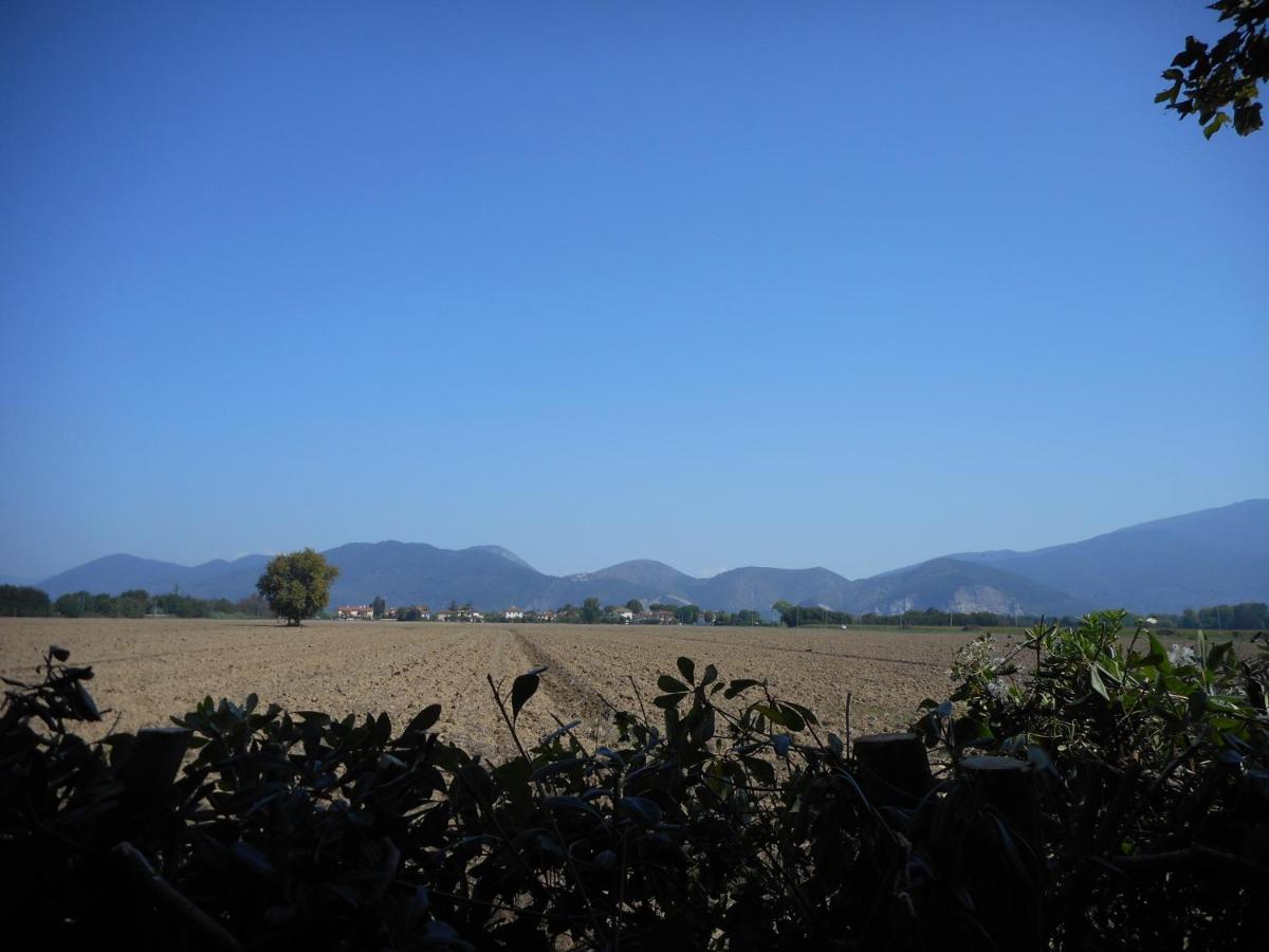 Habitación Doble Básica con baño compartido