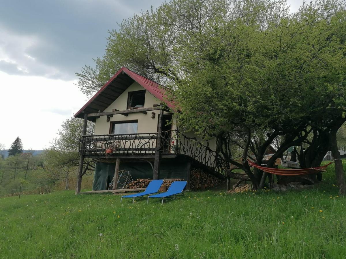 Casa rustica - B&B