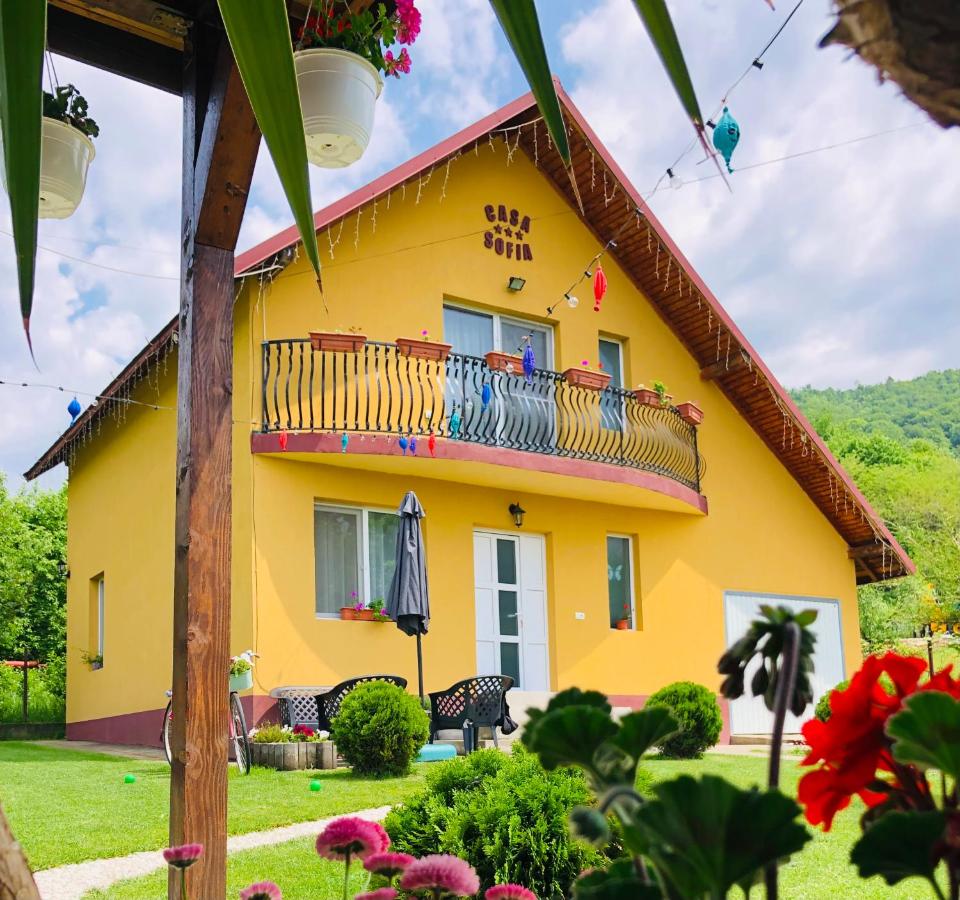Casa Sofia - B&B