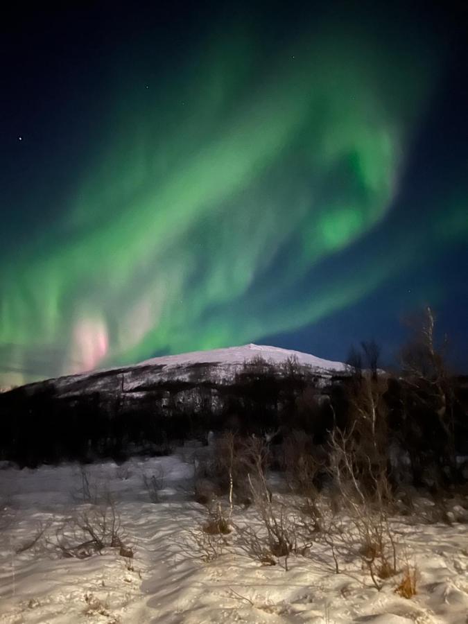 Appartement met 1 Slaapkamer