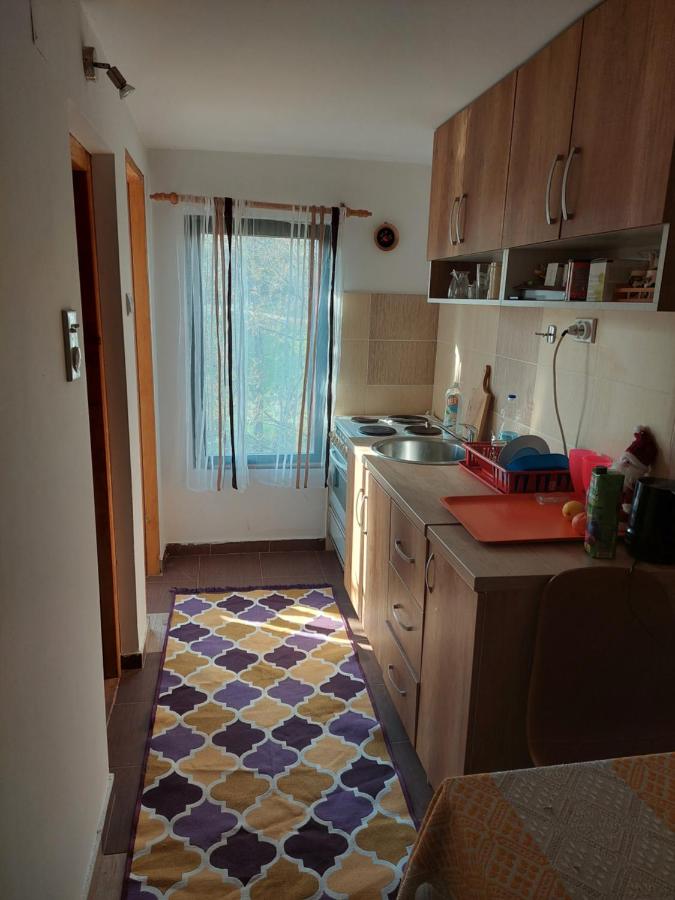 Apartment mit 1 Schlafzimmer